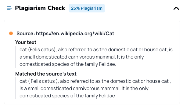 Plagiarism Detector illustration